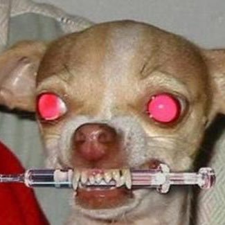 el perro guardián de los atributos html